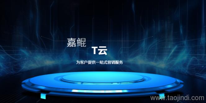 网络与信息安全软件开发,互联网数据服务,人工智能应用软件开发,技术